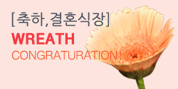 뵵 īװ #3