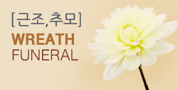 뵵 īװ #5