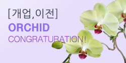 뵵 īװ #4