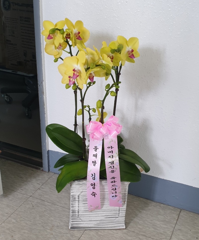 迵