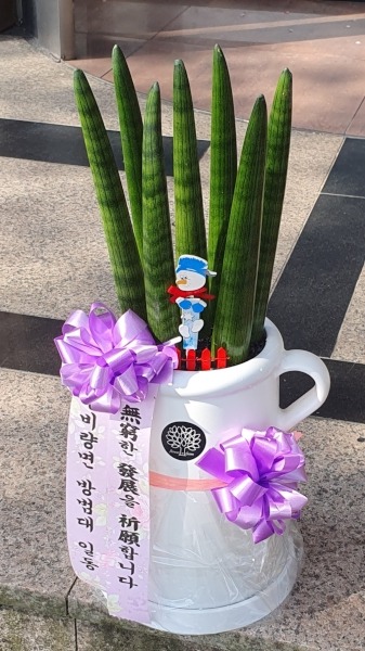 񷮸  ϵ